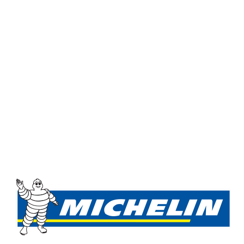 MICHELIN PILOT ALPIN 5 SUV 295/40R20 106V
